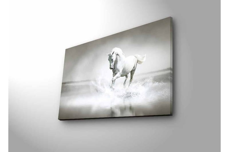 Lerretsbilde med LED-belysning - Hvit hest som spruter vann i tåkete omgivelser - Hvit / Grå - Innredning - Bilder & kunst - Lerretsbilder