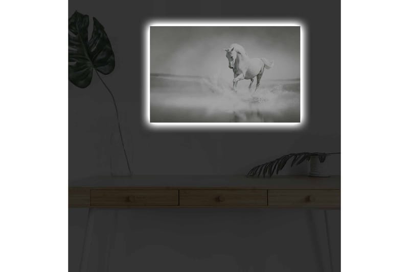 Lerretsbilde med LED-belysning - Hvit hest som spruter vann i tåkete omgivelser - Hvit / Grå - Innredning - Bilder & kunst - Lerretsbilder