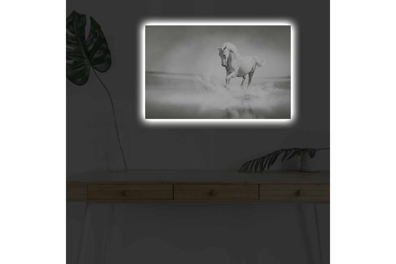 Lerretsbilde med LED-belysning - Hvit hest som spruter vann i tåkete omgivelser - Hvit / Grå - Innredning - Bilder & kunst - Lerretsbilder