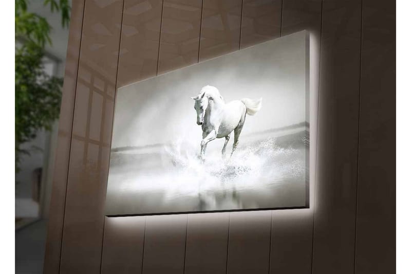 Lerretsbilde med LED-belysning - Hvit hest som spruter vann i tåkete omgivelser - Hvit / Grå - Innredning - Bilder & kunst - Lerretsbilder