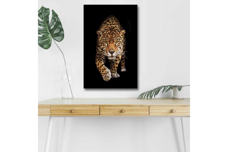 Lerretsbilde med LED-belysning - Jaktende jaguar i fokus, Gull / Svart / Hvit