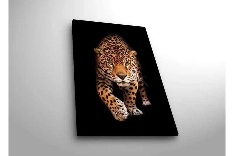 Lerretsbilde med LED-belysning - Jaktende jaguar i fokus - Gull / Svart / Hvit - Innredning - Bilder & kunst - Lerretsbilder