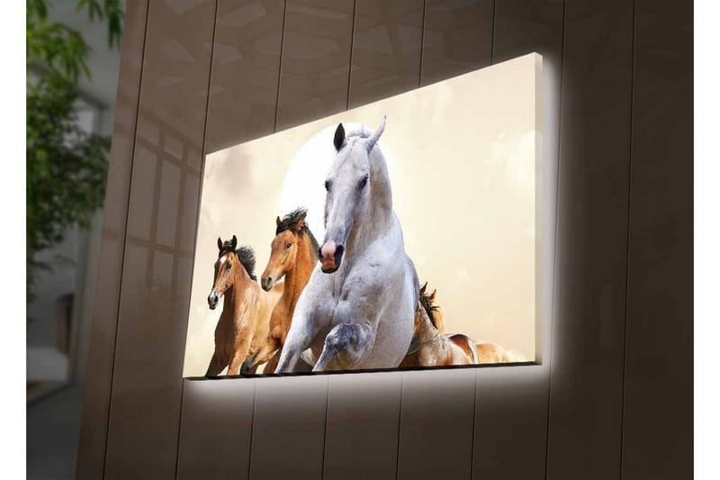 Lerretsbilde med LED-belysning - Løpende hester i en dynamisk komposisjon - Hvit / Brun / Beige - Innredning - Bilder & kunst - Lerretsbilder