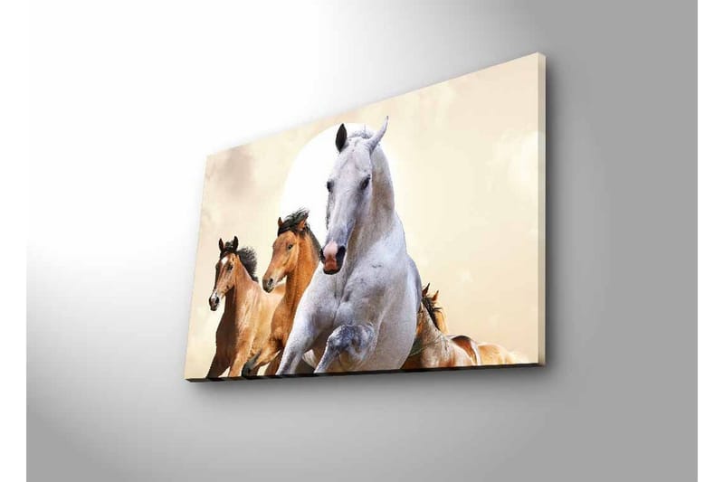 Lerretsbilde med LED-belysning - Løpende hester i en dynamisk komposisjon - Hvit / Brun / Beige - Innredning - Bilder & kunst - Lerretsbilder