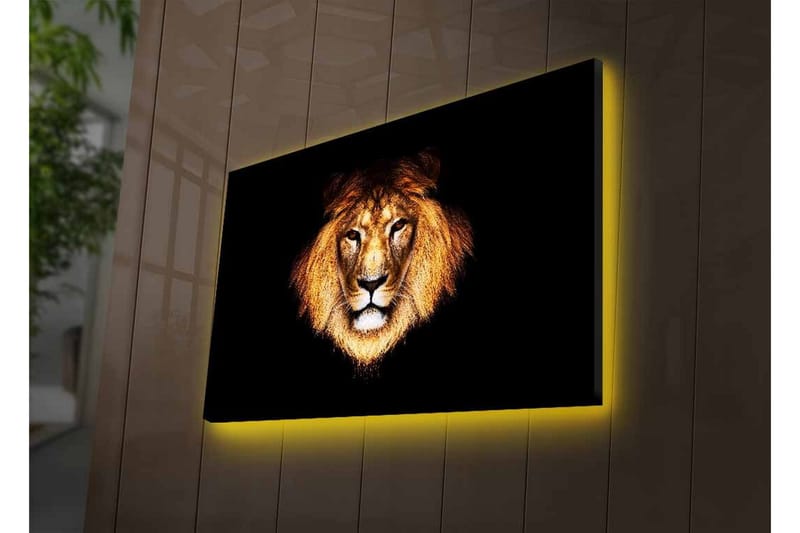 Lerretsbilde med LED-belysning - Løvehode med intenst blikk - Gull / Svart / Brun - Innredning - Bilder & kunst - Lerretsbilder