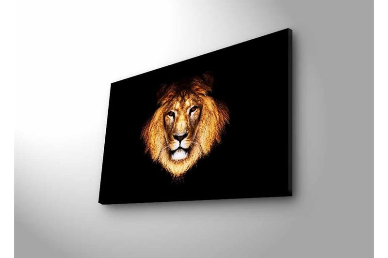Lerretsbilde med LED-belysning - Løvehode med intenst blikk - Gull / Svart / Brun - Innredning - Bilder & kunst - Lerretsbilder