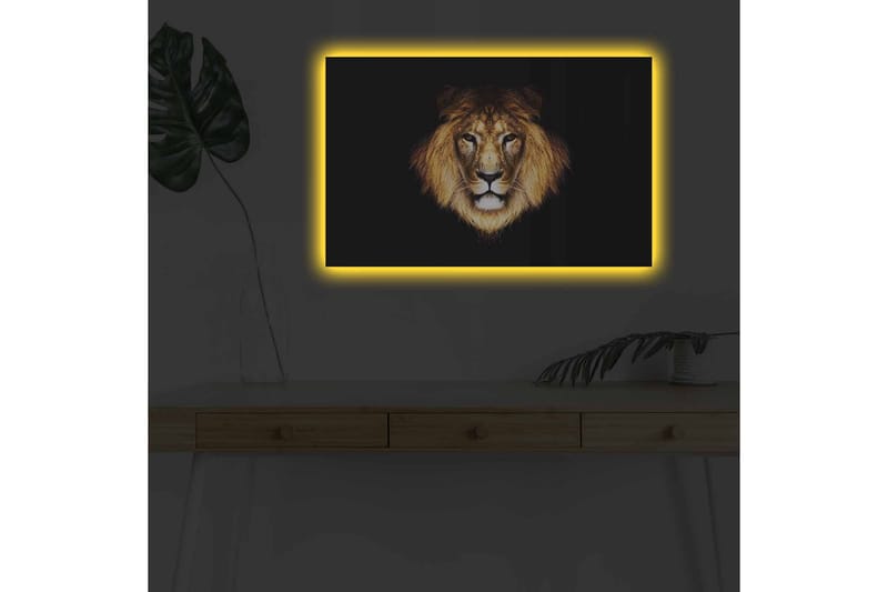 Lerretsbilde med LED-belysning - Løvehode med intenst blikk - Gull / Svart / Brun - Innredning - Bilder & kunst - Lerretsbilder