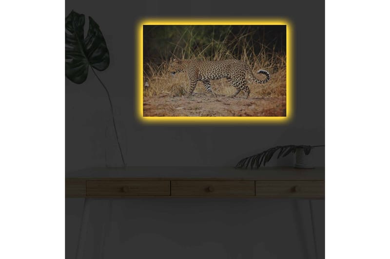 Lerretsbilde med LED-belysning - Leopard som sniker seg gjennom det tørre gresset - Gyllenbrun / Svart / Hvit - Innredning - Bilder & kunst - Lerretsbilder