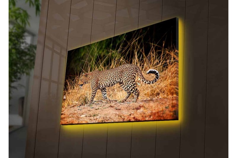 Lerretsbilde med LED-belysning - Leopard som sniker seg gjennom det tørre gresset - Gyllenbrun / Svart / Hvit - Innredning - Bilder & kunst - Lerretsbilder