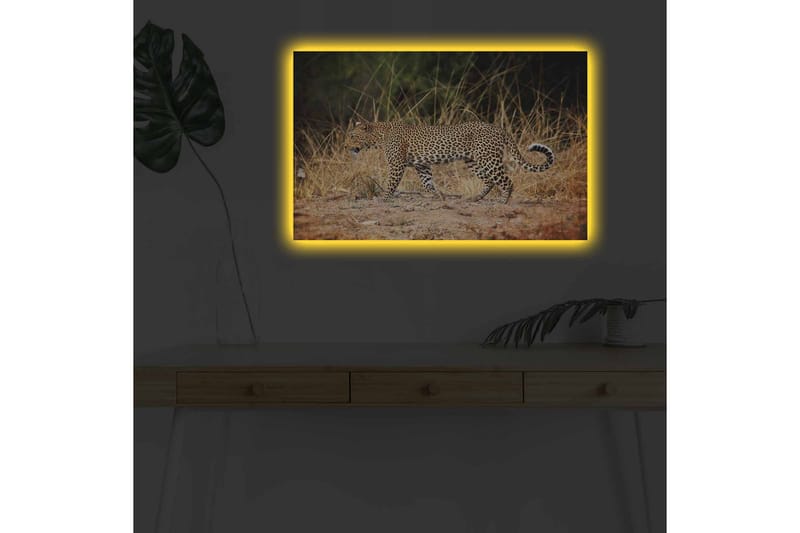 Lerretsbilde med LED-belysning - Leopard som sniker seg gjennom det tørre gresset - Gyllenbrun / Svart / Hvit - Innredning - Bilder & kunst - Lerretsbilder