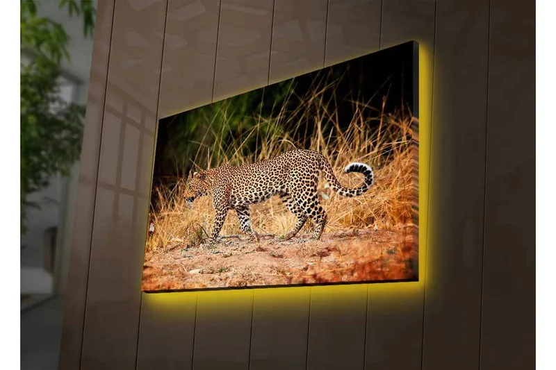 Lerretsbilde med LED-belysning - Leopard som sniker seg gjennom det tørre gresset - Gyllenbrun / Svart / Hvit - Innredning - Bilder & kunst - Lerretsbilder