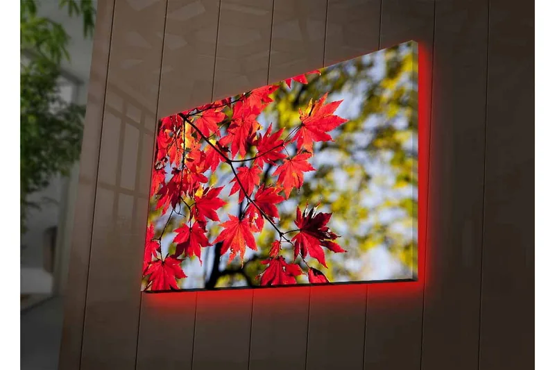 Lerretsbilde med LED-belysning - Lysrøde lønneblader som henger fra en gren - Rød / Grønn - Innredning - Bilder & kunst - Lerretsbilder