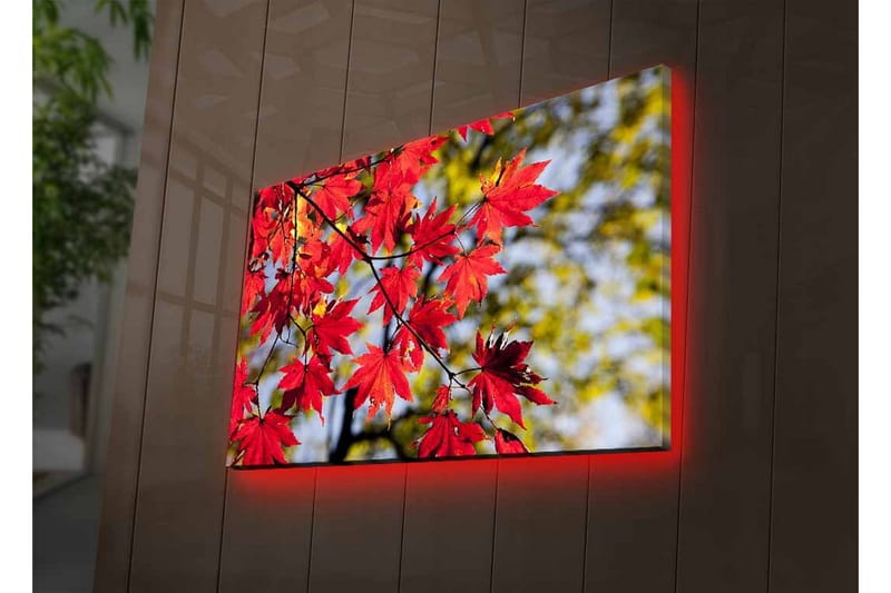 Lerretsbilde med LED-belysning - Lysrøde lønneblader som henger fra en gren - Rød / Grønn - Innredning - Bilder & kunst - Lerretsbilder