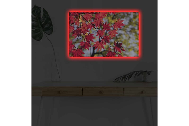 Lerretsbilde med LED-belysning - Lysrøde lønneblader som henger fra en gren - Rød / Grønn - Innredning - Bilder & kunst - Lerretsbilder