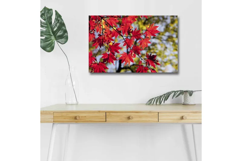 Lerretsbilde med LED-belysning - Lysrøde lønneblader som henger fra en gren - Rød / Grønn - Innredning - Bilder & kunst - Lerretsbilder