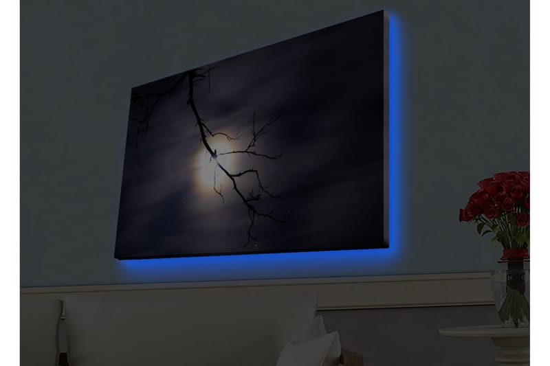Lerretsbilde med LED-belysning - Månen skinner gjennom mørke skyer med en gren i forgrunnen - Mørk blå / Svart / Hvit - Innredning - Bilder & kunst - Lerretsbilder