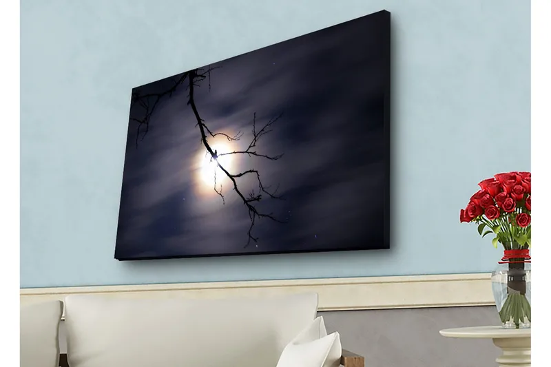 Lerretsbilde med LED-belysning - Månen skinner gjennom mørke skyer med en gren i forgrunnen - Mørk blå / Svart / Hvit - Innredning - Bilder & kunst - Lerretsbilder