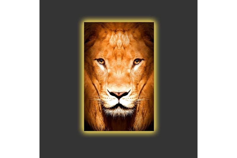 Lerretsbilde med LED-belysning - Majestetisk løvehode i nærbilde - Gull / Brun / Svart - Innredning - Bilder & kunst - Lerretsbilder