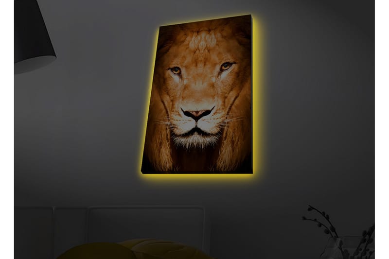 Lerretsbilde med LED-belysning - Majestetisk løvehode i nærbilde, Gull / Brun / Svart