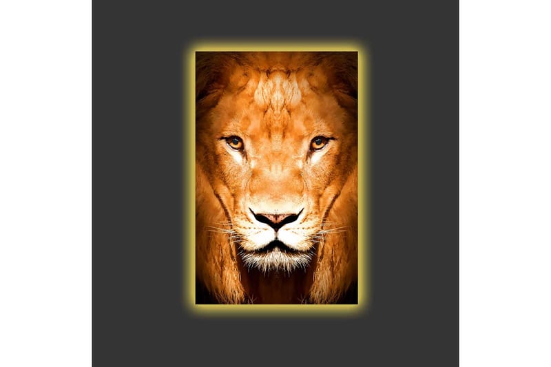 Lerretsbilde med LED-belysning - Majestetisk løvehode i nærbilde - Gull / Brun / Svart - Innredning - Bilder & kunst - Lerretsbilder