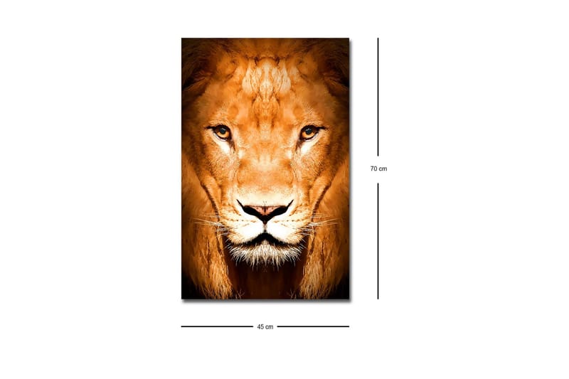Lerretsbilde med LED-belysning - Majestetisk løvehode i nærbilde - Gull / Brun / Svart - Innredning - Bilder & kunst - Lerretsbilder