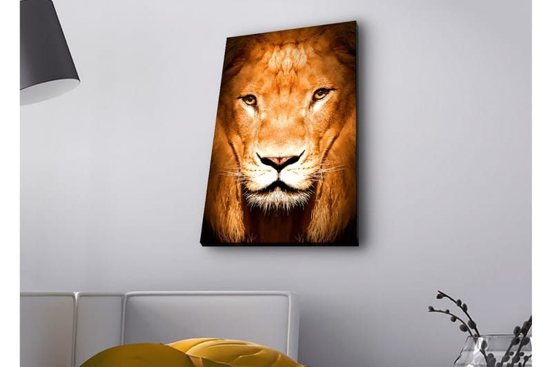 Lerretsbilde med LED-belysning - Majestetisk løvehode i nærbilde - Gull / Brun / Svart - Innredning - Bilder & kunst - Lerretsbilder