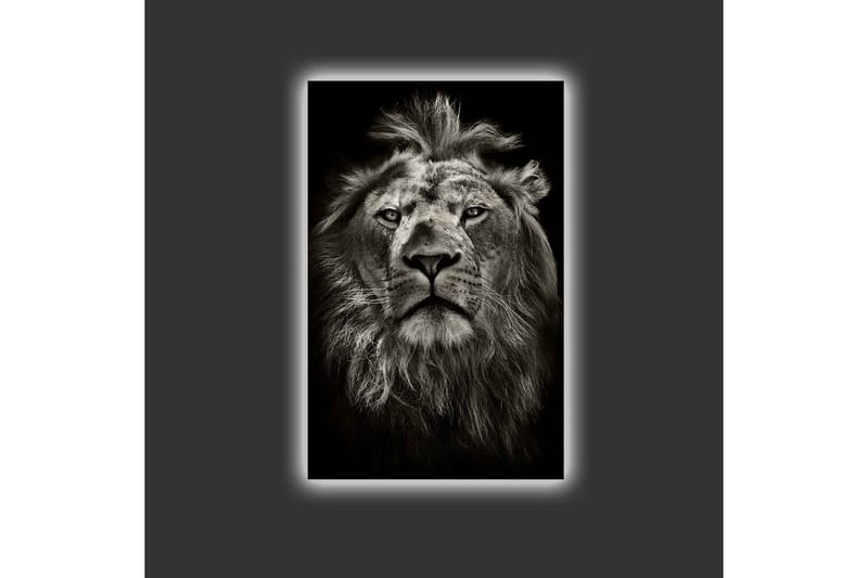 Lerretsbilde med LED-belysning - Majestetisk løvehode i svart-hvitt - Svart / Grå - Innredning - Bilder & kunst - Lerretsbilder