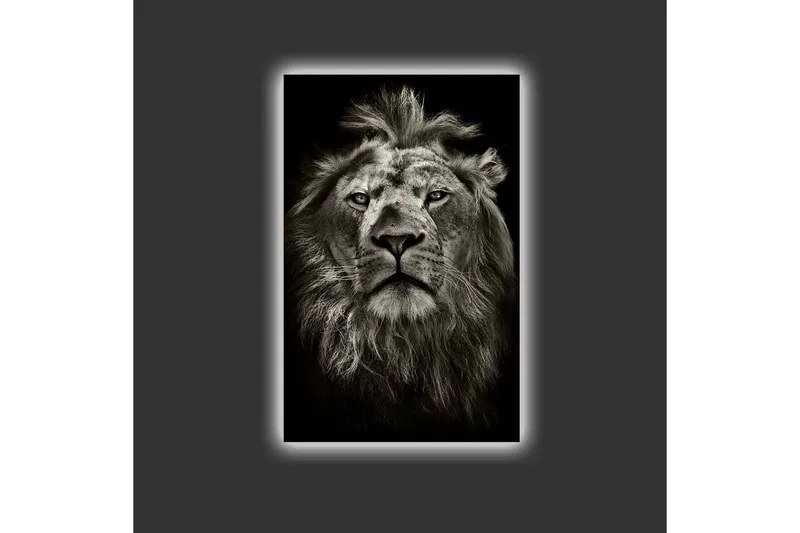 Lerretsbilde med LED-belysning - Majestetisk løvehode i svart-hvitt - Svart / Grå - Innredning - Bilder & kunst - Lerretsbilder