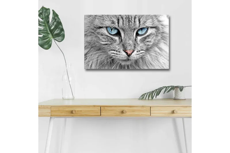 Lerretsbilde med LED-belysning - Nærbilde av en grå katt med blå øyne, Grå / Blå / Rosa