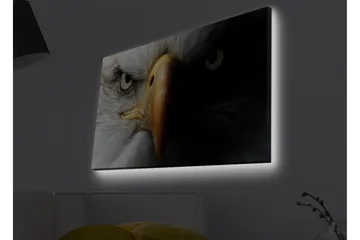 Lerretsbilde med LED-belysning - Nærbilde av en majestetisk ørn med intense øyne - Hvit / Svart / Oransje - Innredning - Bilder & kunst - Lerretsbilder