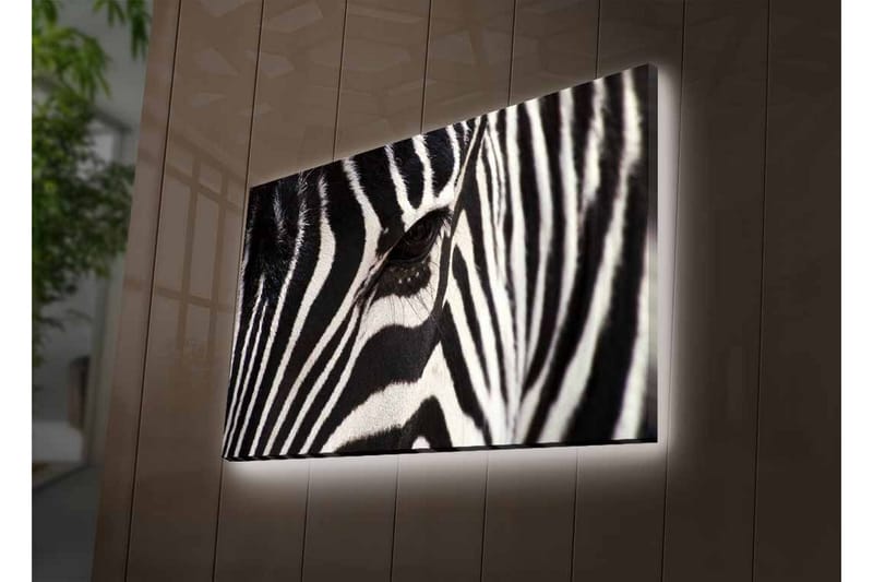 Lerretsbilde med LED-belysning - Nærbilde av et sebraansikt med tydelige svarte og hvite striper - Svart / Hvit - Innredning - Bilder & kunst - Lerretsbilder