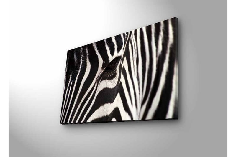 Lerretsbilde med LED-belysning - Nærbilde av et sebraansikt med tydelige svarte og hvite striper - Svart / Hvit - Innredning - Bilder & kunst - Lerretsbilder