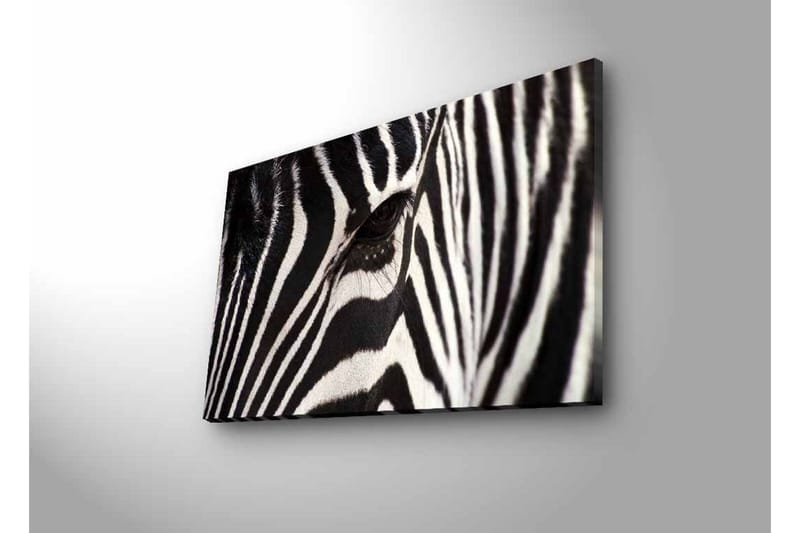 Lerretsbilde med LED-belysning - Nærbilde av et sebraansikt med tydelige svarte og hvite striper - Svart / Hvit - Innredning - Bilder & kunst - Lerretsbilder
