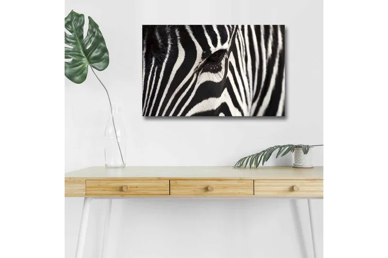 Lerretsbilde med LED-belysning - Nærbilde av et sebraansikt med tydelige svarte og hvite striper, Svart / Hvit