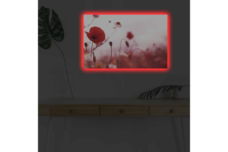 Lerretsbilde med LED-belysning - Røde valmuer i en mykt uskarp blomstereng - Rød / Rosa / Grønn - Innredning - Bilder & kunst - Lerretsbilder