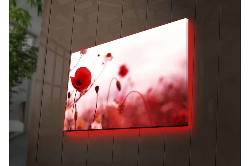 Lerretsbilde med LED-belysning - Røde valmuer i en mykt uskarp blomstereng - Rød / Rosa / Grønn - Innredning - Bilder & kunst - Lerretsbilder