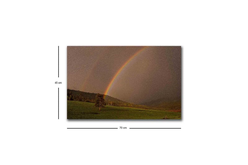 Lerretsbilde med LED-belysning - Regnbue som strekker seg over en grønn dal - Grønn / Brun / Gul - Innredning - Bilder & kunst - Lerretsbilder