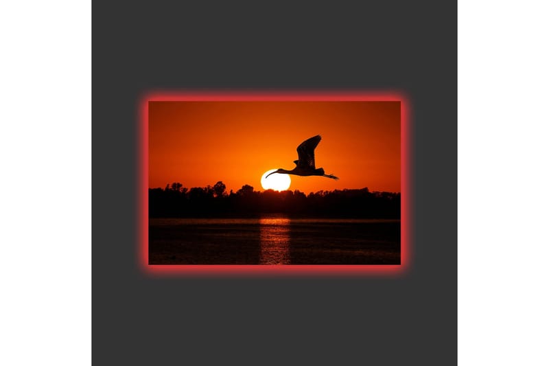 Lerretsbilde med LED-belysning - Silhuett av en fugl som flyr mot en solnedgang - Oransje / Svart - Innredning - Bilder & kunst - Lerretsbilder