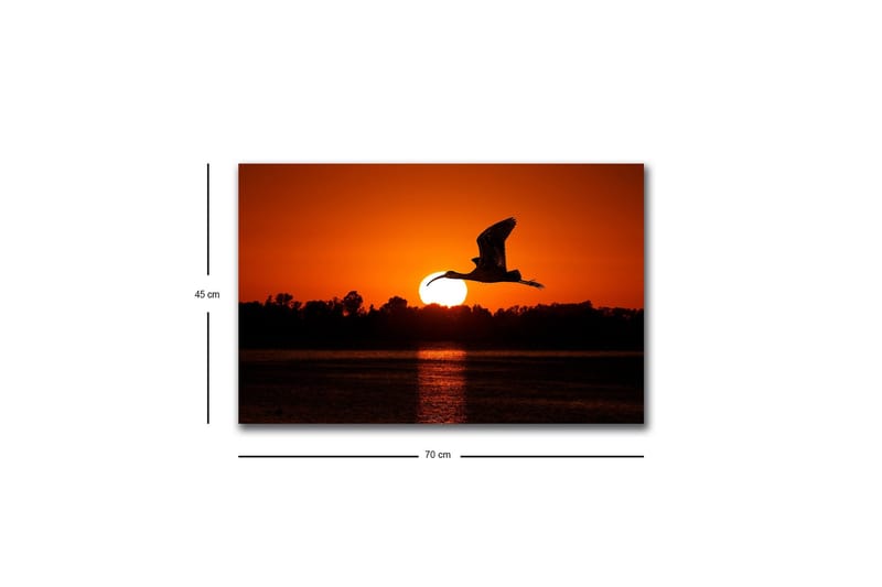 Lerretsbilde med LED-belysning - Silhuett av en fugl som flyr mot en solnedgang - Oransje / Svart - Innredning - Bilder & kunst - Lerretsbilder