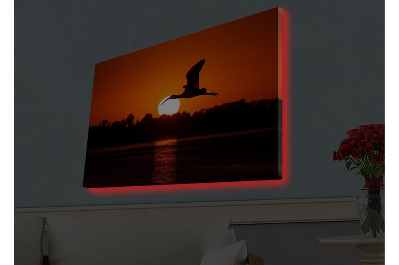 Lerretsbilde med LED-belysning - Silhuett av en fugl som flyr mot en solnedgang - Oransje / Svart - Innredning - Bilder & kunst - Lerretsbilder