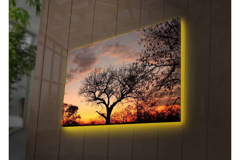 Lerretsbilde med LED-belysning - Silhuett av et tre mot en fargerik solnedgang - Mørk brun / Oransje / Gul - Innredning - Bilder & kunst - Lerretsbilder