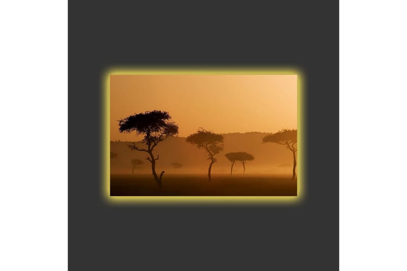Lerretsbilde med LED-belysning - Silhuetter av trær i et tåkete, gyllent landskap - Gull / Svart - Innredning - Bilder & kunst - Lerretsbilder