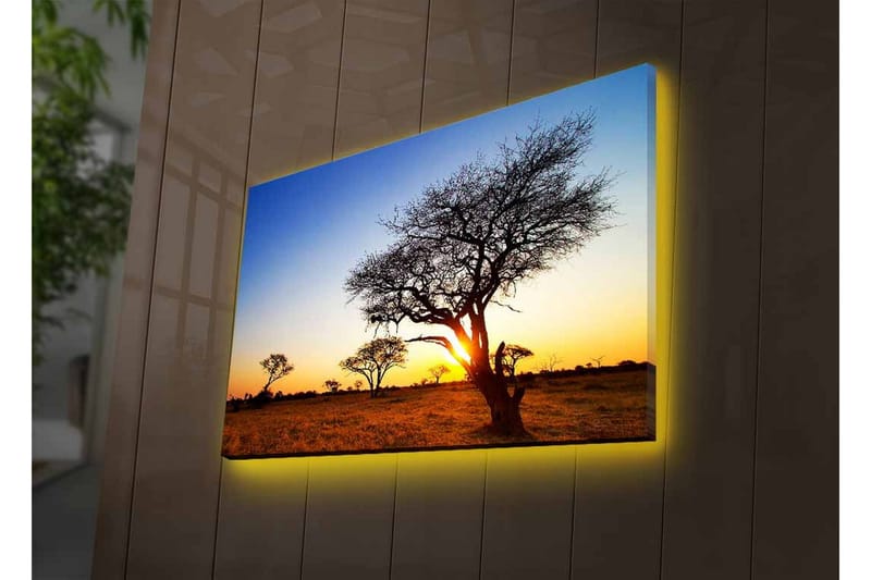 Lerretsbilde med LED-belysning - Silhuetter av trær mot en solnedgang på savannen - Gull / Blå / Svart - Innredning - Bilder & kunst - Lerretsbilder