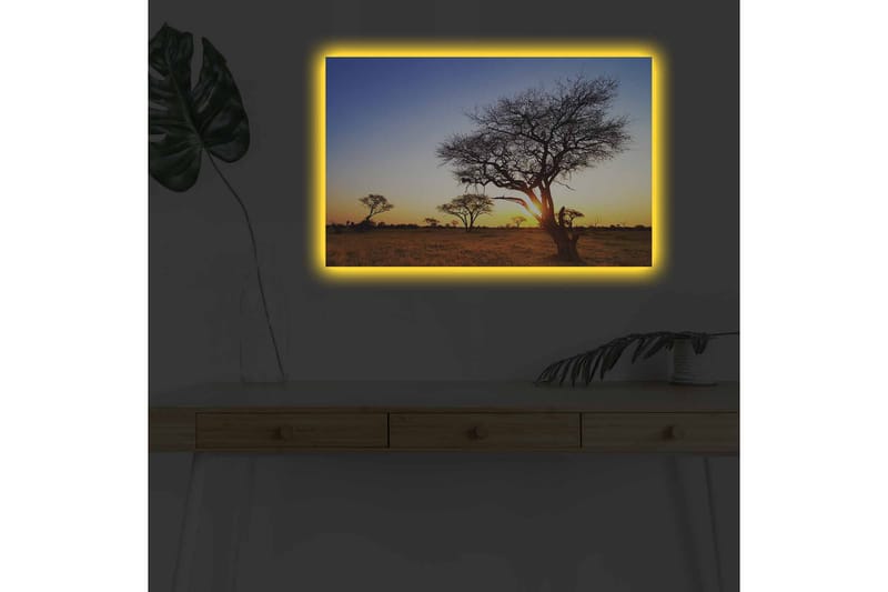 Lerretsbilde med LED-belysning - Silhuetter av trær mot en solnedgang på savannen - Gull / Blå / Svart - Innredning - Bilder & kunst - Lerretsbilder