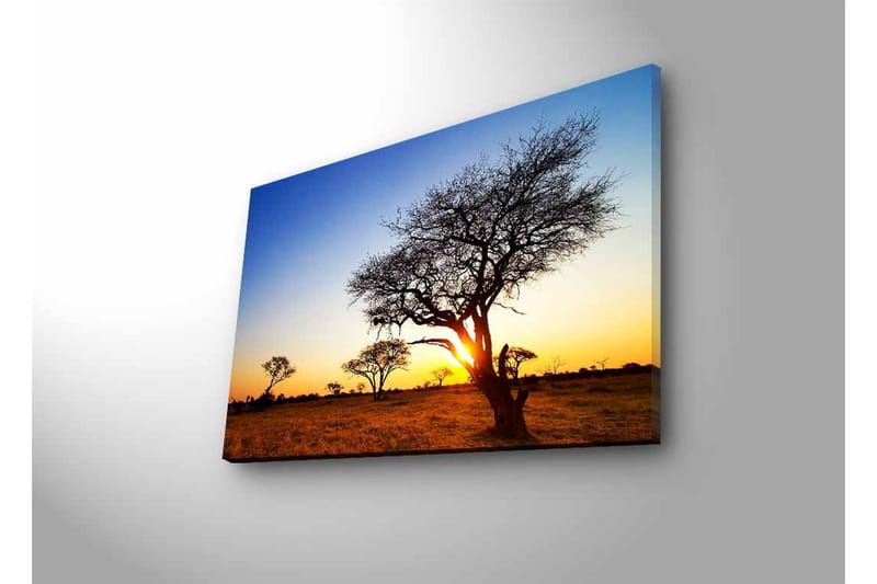 Lerretsbilde med LED-belysning - Silhuetter av trær mot en solnedgang på savannen - Gull / Blå / Svart - Innredning - Bilder & kunst - Lerretsbilder