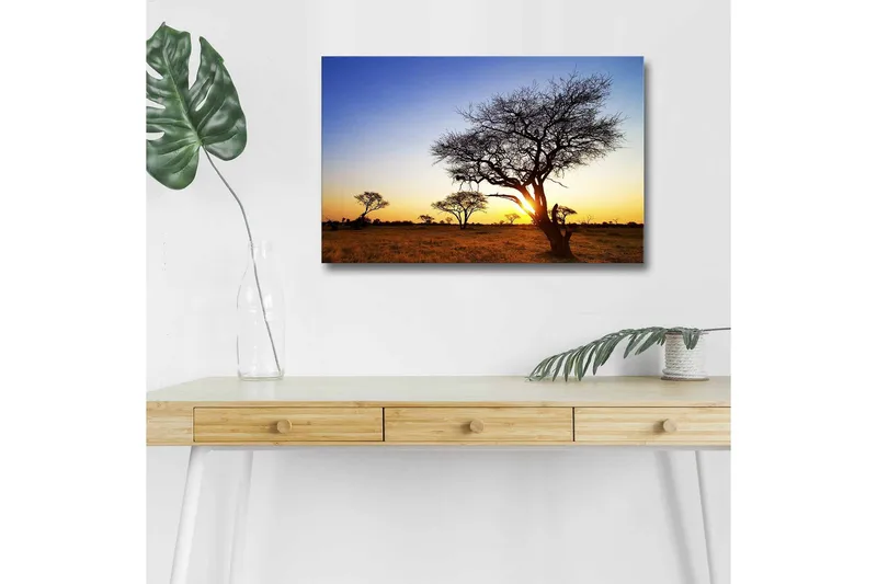Lerretsbilde med LED-belysning - Silhuetter av trær mot en solnedgang på savannen - Gull / Blå / Svart - Innredning - Bilder & kunst - Lerretsbilder