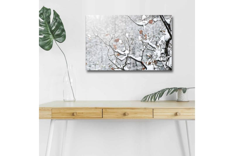 Lerretsbilde med LED-belysning - Snødekte grener med brune blader, Hvit / Brun / Grå