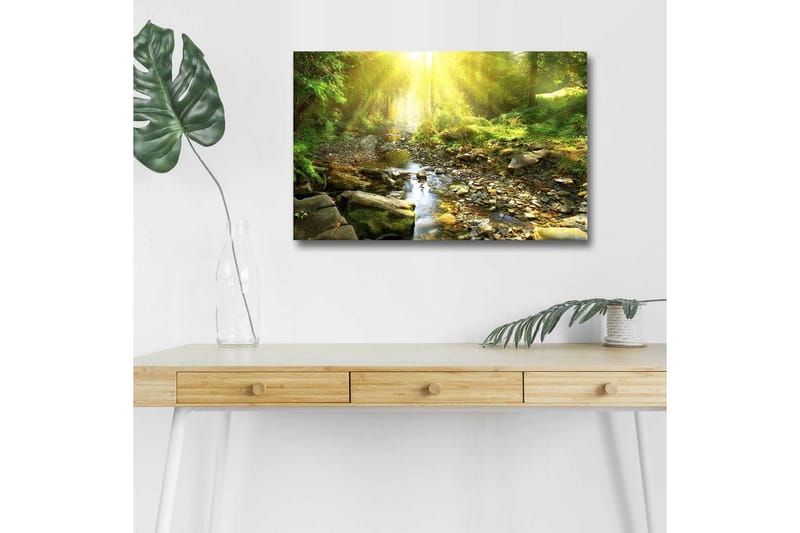 Lerretsbilde med LED-belysning - Solbelyst skog med en klukkende bekk, Grønn / Gul / Brun
