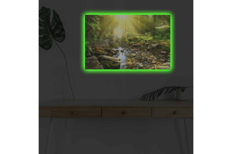 Lerretsbilde med LED-belysning - Solbelyst skog med en klukkende bekk - Grønn / Gul / Brun - Innredning - Bilder & kunst - Lerretsbilder