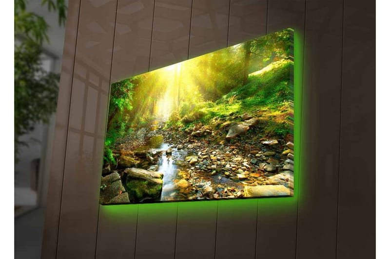 Lerretsbilde med LED-belysning - Solbelyst skog med en klukkende bekk - Grønn / Gul / Brun - Innredning - Bilder & kunst - Lerretsbilder